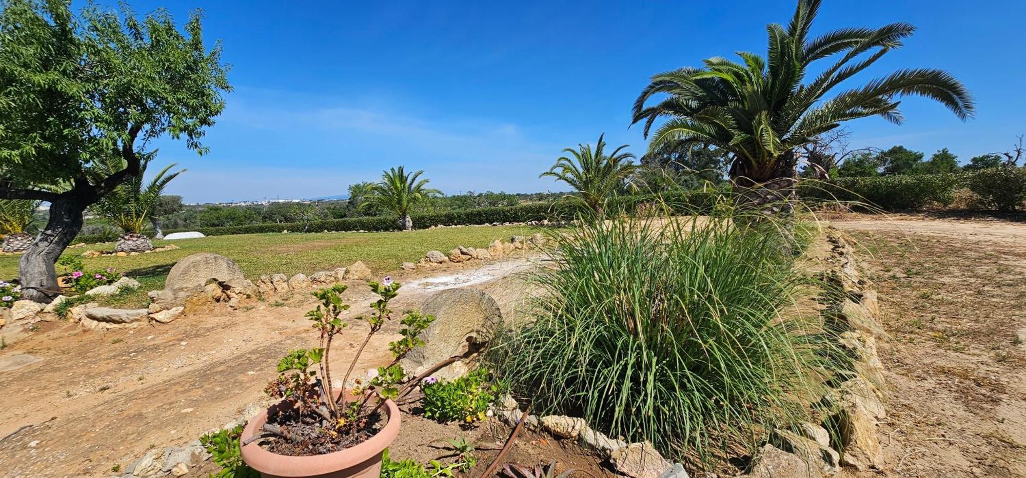 Willa Quinta Do Lagar Albufeira Zewnętrze zdjęcie