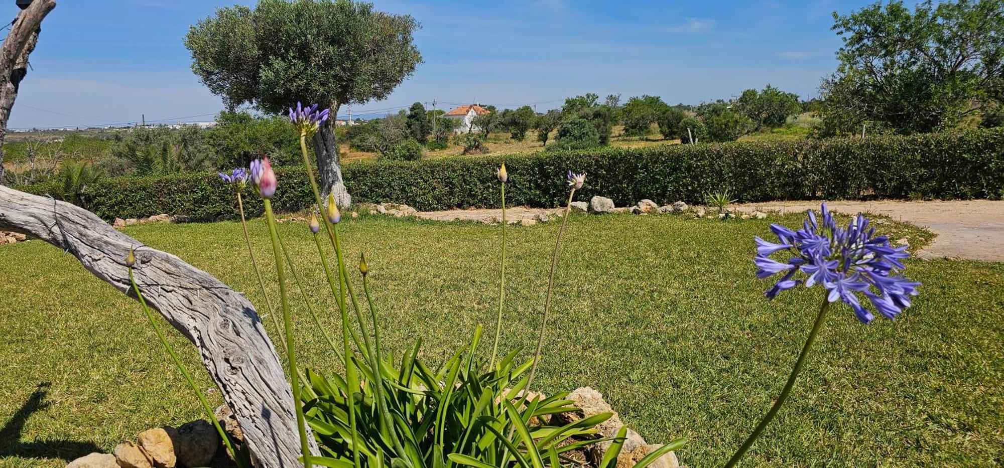 Willa Quinta Do Lagar Albufeira Zewnętrze zdjęcie